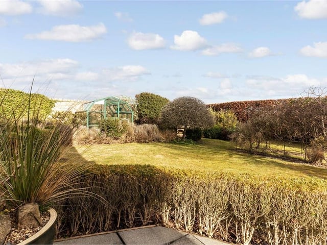Garden.