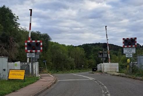 Empörung über die „beinahe Zerstörung“ eines Waldstücks für eine Brücke in ...