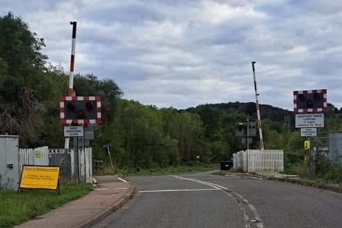 Empörung über die „beinahe Zerstörung“ eines Waldstücks für eine Brücke in ...