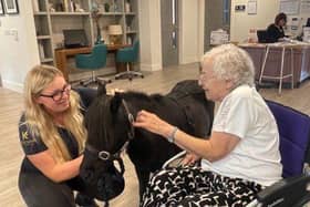 Cute ponies at Elstow Manor Care Home
