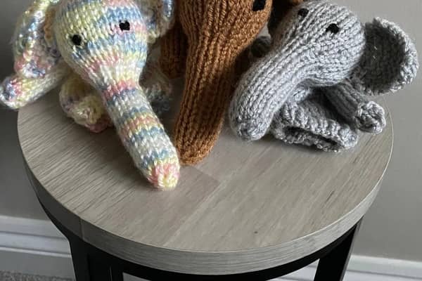 Knitted elephant egg cosies with Creme Eggs inside are being sold to raise money for CHUMS