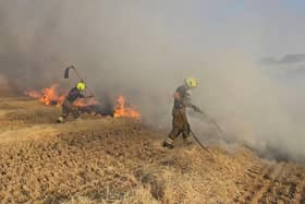 Firefighters tackle a crop fire.