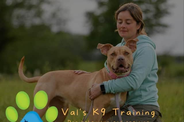 Val's K9 Training