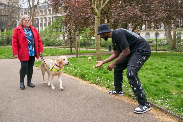 Guide Dogs has released a series of images bringing to life the various ways guide dogs are distracted on a daily basis, and how this differs from other uniformed professionals