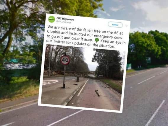 A tree has fallen onto the A6 in Clophill