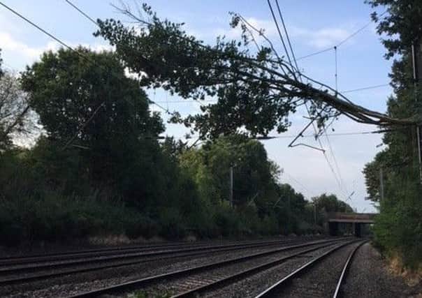 Tree on overhead line St Albans. Photo from Network Rail