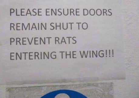 Rats on Wing sign