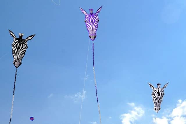 MBTC kite festival 1