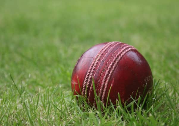 Cricket stock image