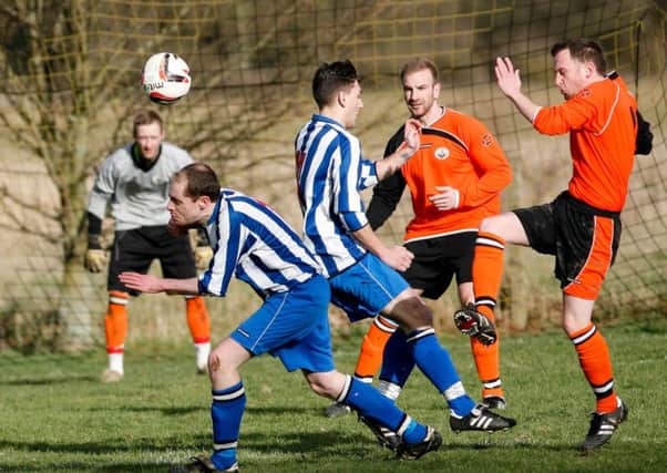 Mid Beds Tigers v Shefford Town & Campton