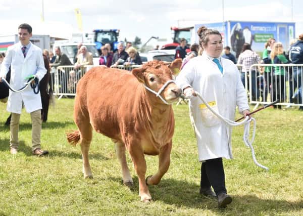 Bedfordshire Young Farmers 2015 show