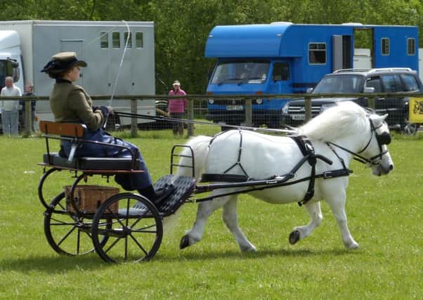 Carriage driving with the Bedfordshire, Buckinghamshire and Hertfordshire branch of the British Driving Society. Picture: Linda Swain.