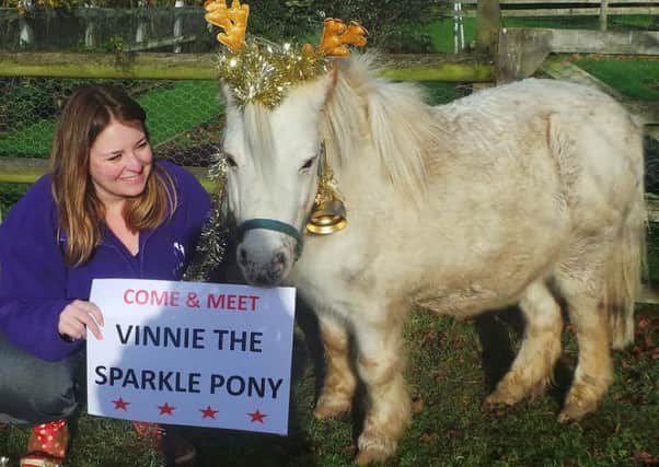 Hayley Mackenzie-Wright of Ride High with Vinnie the Sparkle Pony