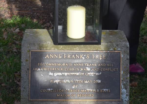 Anne Frank Tree, Russell Park, Bedford PNL-160126-113705001