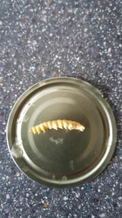 Caterpillar found in a tin of sweetcorn by Paul Evans PNL-160217-141410001