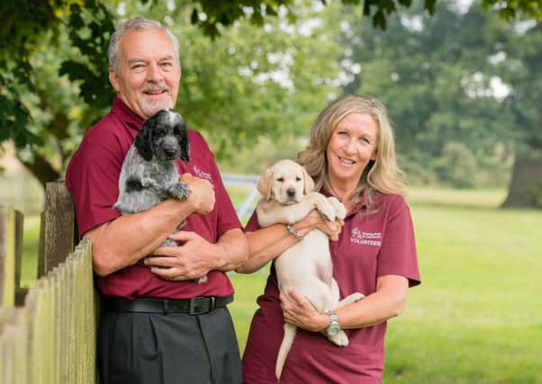 Hearing Dogs for Deaf People are looking for volunteers puppy socialisers PNL-160203-113343001