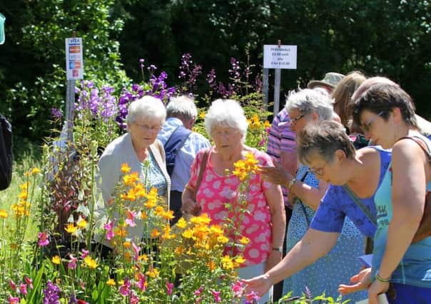 Visitors to a previous Woburn Abbey Garden Show