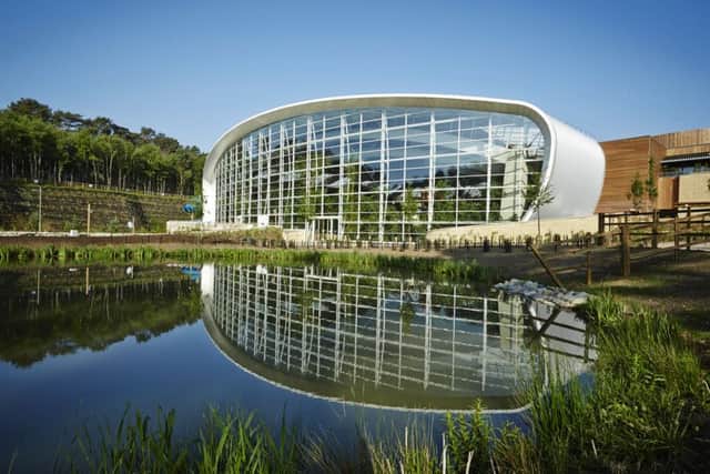 The Subtropical Swimming Paradise