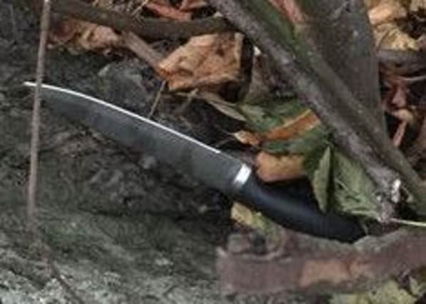 One of the knives recovered in the sweep