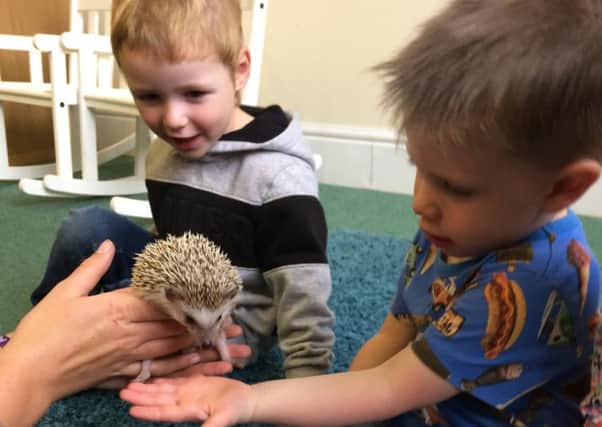 Children meet a hedgehog from Animal Ark