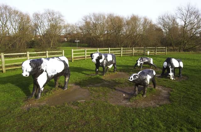 The famous concrete cows